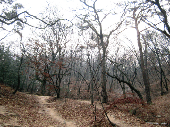 자연을 그대로 보존한 지역인 백사실 계곡은 도롱뇽같은 서울시지정 환경보호종이 살고있다.