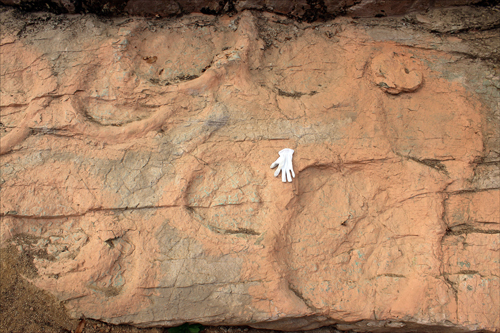 의성제오리 공룡발자국의 크기는 가운데에 놓은 장갑과 견주어 가늠할 수 있다. 