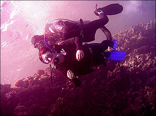 아직 서투른 초보 다이빙 체험자는 강사 쌤의 도움으로 얕은 바다의 밑바닥까지 내려간다. 산소마우스를 입에 문 이상 입으로만 숨쉬어야 한다는 걸 잊지 말것. 