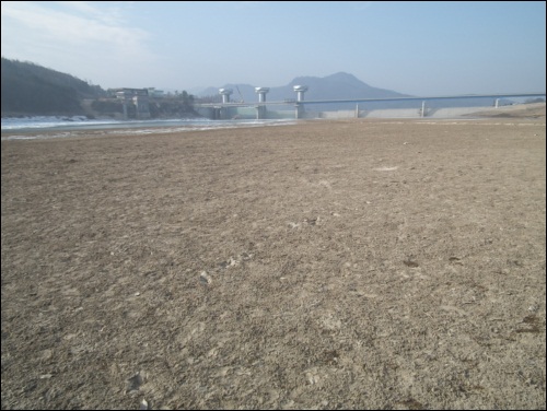 모래를 열심히 퍼냈는데... 이렇게 드넓은 모래가 퇴적되었습니다.