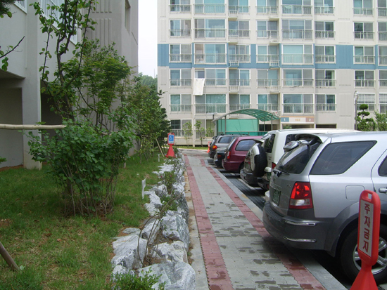 내가 사는 아파트의 지상 주차장 풍경이다. 차량들이 하나같이 '후진 주차'를 하고 있다. 