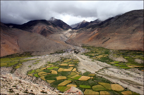 티베트 다른 지역과 달리 따듯한 바람이 불어 보리 농사외에 다른 곡식도 재배하고 있는 작은 마을.