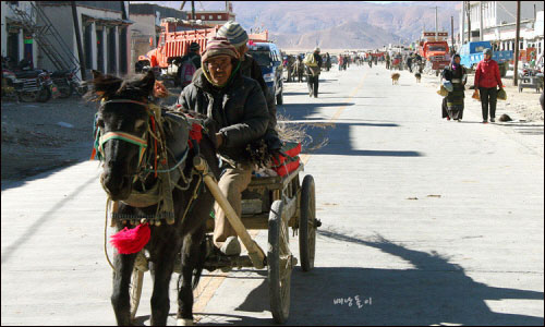 도로로 생겨난 티베트 마을 올드 팅그리. 티베트인들은 아직도 마차를 교통수단으로 이용한다