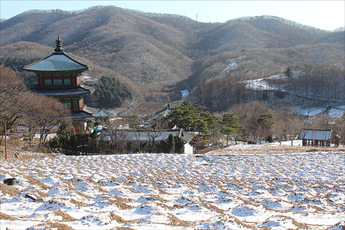 만뢰산에서 하산하는 길에 볼 수 있는 보탑사의 뒤태