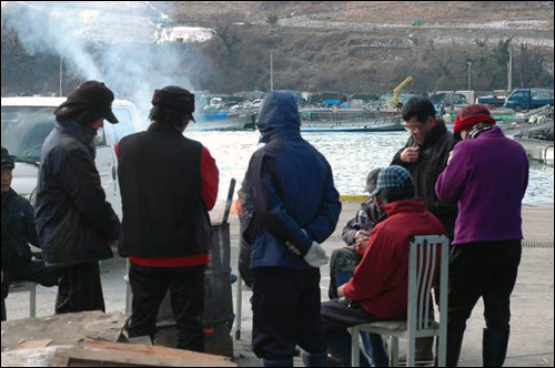 발포항에 물김을 싣고 온 김양식장 어민들이 선착장 주변에 장작불을 피워놓고 추위를 녹이고 있다.