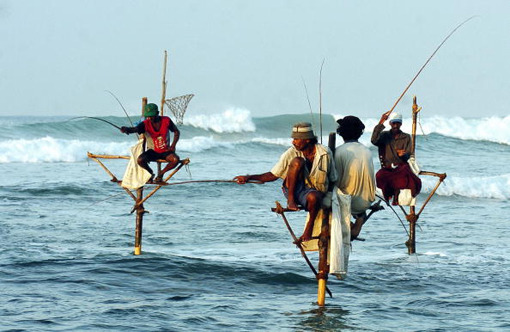 Sri Lanka 남부지방의 전통낚시법 - Stilt Fishing 