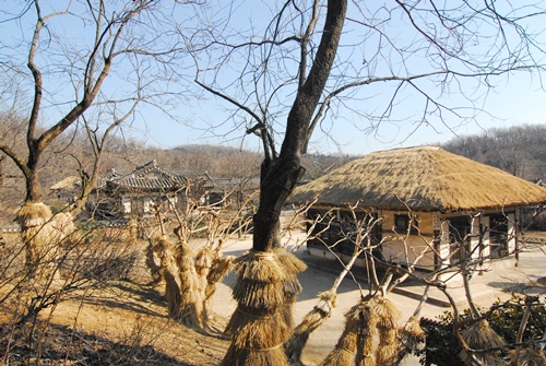 한국민속촌 안에 자리한 99칸 집. 수원 남창동 팔달산 아래 소재했던 집이다. 사당에서 바라본 전경