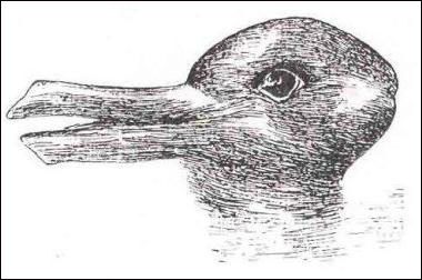 1898년 이전에 제트로가 논문에서 발표했던 오리지널 토끼-오리 그림 