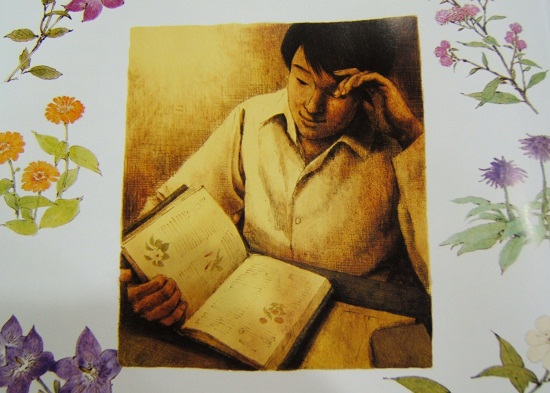 시골학교에 부임한 김선생은 저녁마다 식물사전을 보며 꽃이름 공부를 한다. 
(본 사진은 책의 삽화를 기자가 촬영한 것임)