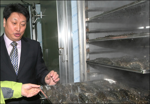 건해삼 자숙과정. 박종주 씨가 해삼을 찌고 익히는 과정을 살펴보고 있다.