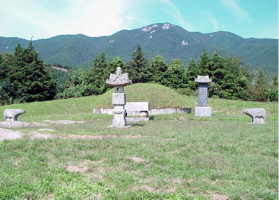 충남 예산군 덕산면 상가리 가야산도립공원 안에 위치해 있는 남연군묘의 모습.