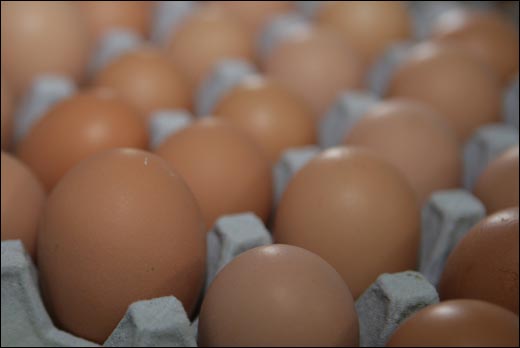 운동장을 활보한 닭들이 낳은 달걀. 특유의 냄새가 나지 않는다.