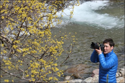 산수유꽃과 지리산 계곡. 한 여행객이 지리산 계곡가에 피어난 산수유꽃을 카메라에 담고 있다.