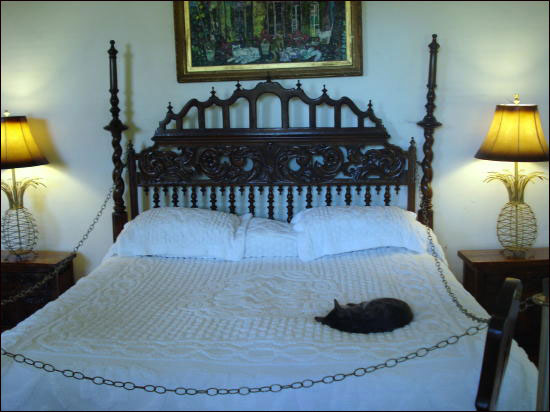 헤밍웨이와 폴린이 사용했던 침대에 자고 있는 고양이