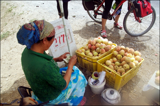 거리에서 복숭아를 파는 위구르 여성. 한국에서 보던 복숭아와는 달리 납작 눌려 있다.