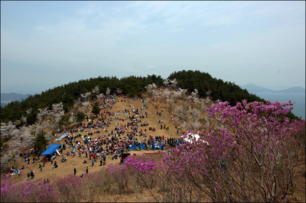 2009년 '제13회 거제 대금산 진달래 축제' 때 모습