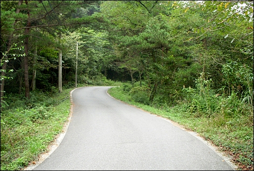  비단강길(구불1길) 중간에 자리한 오성산(227m) 오르막길
