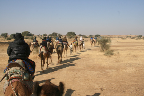 사막여행을 위해 낙타를 타고 떠나는 낙타사파리. 낙타 등에 올라탄 일행은 일주일 내내 엉덩이가 아팠다  