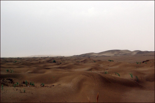 노란 모래가 비로 인해 붉게 변한 사막 모습, 모래 바람이 날리지 않아 그런지 나름 운치있다.