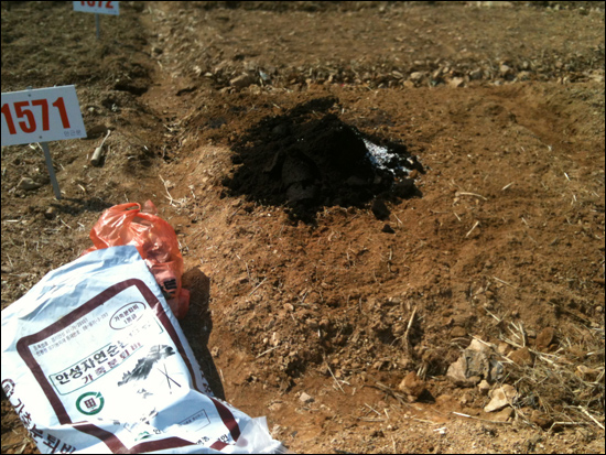 퇴비 봉지를 뜯어서 밭에 뿌린 후 흙과 섞는 도중에  증세가 나타났답니다.
