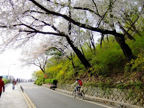 땀을 뻘뻘 흘리며 서울타워를 향해 달려 오르는 자전거 라이더의 모습이 순례자같다. 