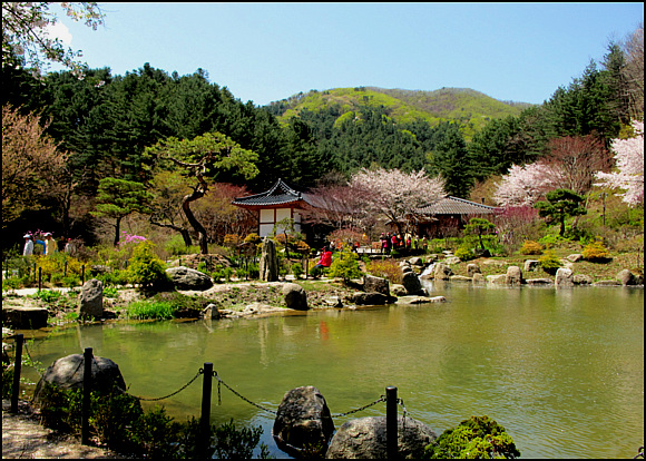 여기는 '아침고요 수목원'이 자랑하는 '한국정원' 풍경이다. 
