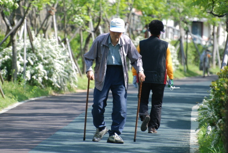 여름에는푸른길을  산책하는 시민들이 북새통을 이룬다