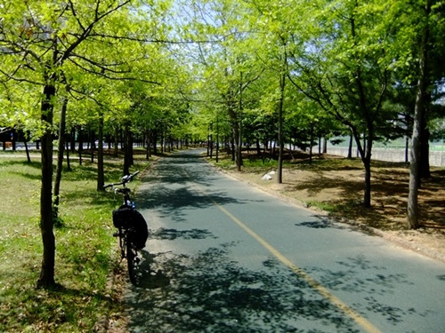경의선 전철 곡산역에서 내리니 공원 산책로 옆에 자전거 도로가 잘 나있다. 