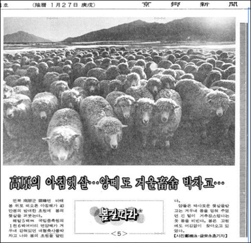  <경향신문> 1986년 3월 7일자 11면.
