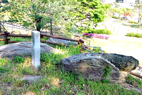 커다란 바위 위에 조성한 금암동 6호 고인돌