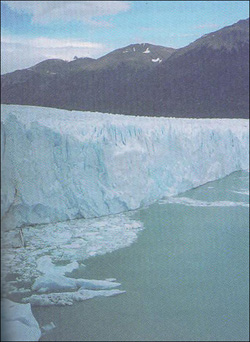 아르헨티나의 프리토모레노 빙하. 지구 온난화 때문에 1년에 700미터가량 아래로 내려온다고 한다.