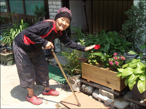 집앞에 예쁜 꽃이 핀 반려식물용 화분에 환한 미소를 짓는 할머니