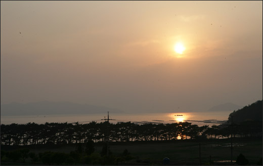  솔밭과 어우러진 해질 무렵의 청산도 지리해수욕장. 김성호 씨가 운영하는 솔바다펜션에서 내려다 본 풍경이다.