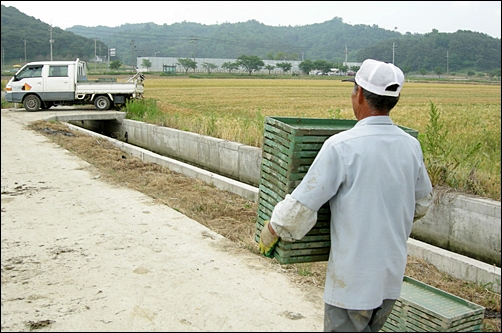 새참을 마치고 모판을 나르는 김씨 아저씨. 그래도 힘든 일은 도맡아 한단다.
