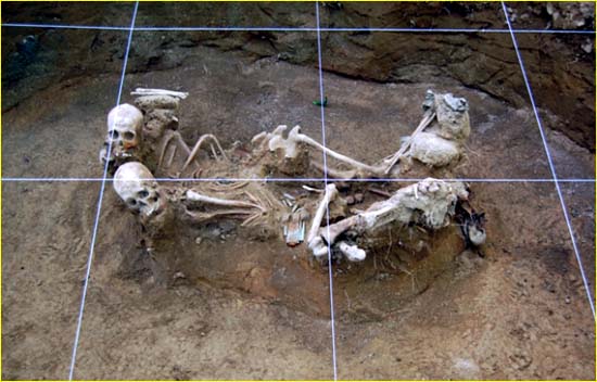 국방부 유해발굴감식단이 2008년 경기도 양평에서 발굴한 프랑스군으로 추정되는 6.25 전사자 유해. 