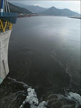 낙동강 달성댐 수문을 넘쳐 흐르는 강물. 강을 깊이 준설하고 큰 댐을 세워 4대강은 바다처럼 물로 가득합니다. 그런데 가뭄이라니? 