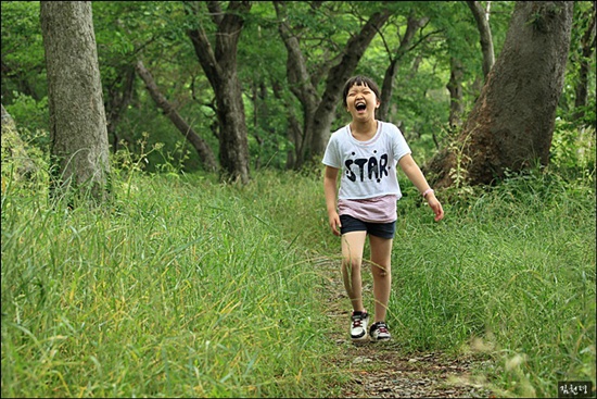  혼자서 혹은 여럿이라도 숲의 매력은 늘 충만하다

