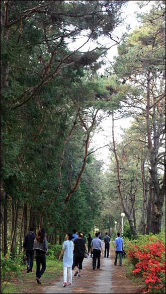  농촌체험관광팀 주민들이 본량중학교 폐교를 활용한 꼬마농부 상상학교 사업 구상을 위해 본량중학교 폐교를 현지답사했다. 