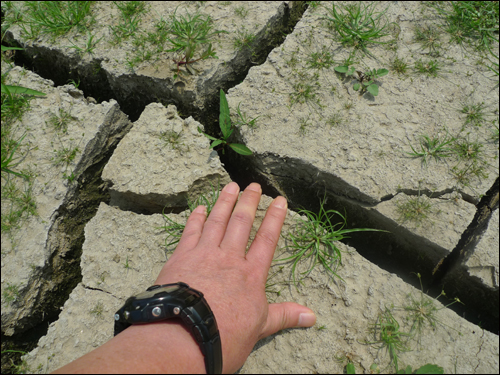 104년만에 찾아온 최악의 가뭄으로 바닥을 드러낸 저수지 틈새