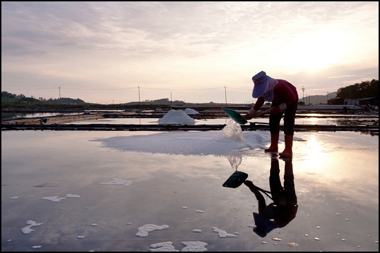 전남 영광 염산에 있는 두우리염전에서 김영임씨가 소금을 모으고 있다.