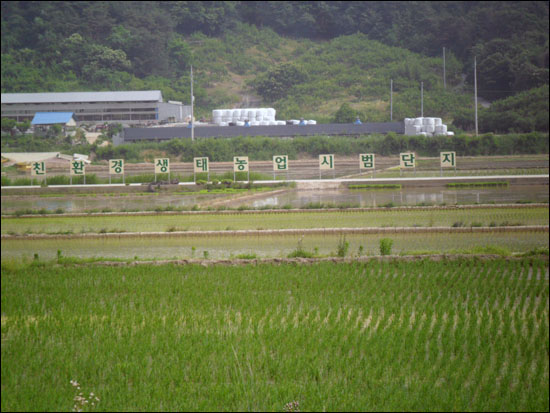 봉하마을 친환경 생태농업 시범단지. 