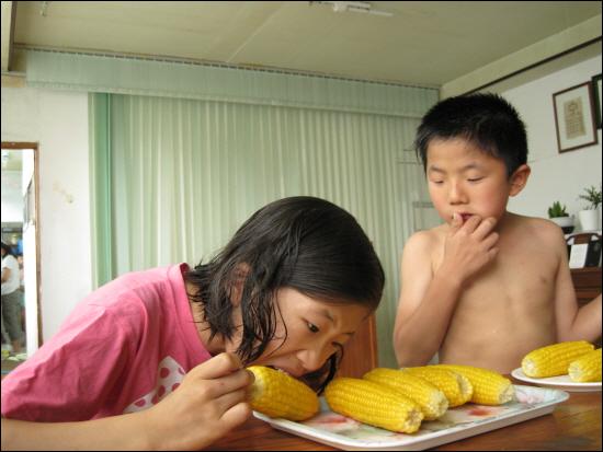 옥수수 먹는 딸 아이 모습. 중1 여학생 모습은 오 간데가 없습니다. 옥수수를 하나 먹은 막둥이 입에 낀 옥수수를 손으로 파내고 있습니다. 