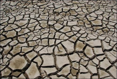 물이 바닥나서 거북등처럼 갈라지는 저수지가 대한민국 가뭄의 현실을 잘 보여줍니다. 
