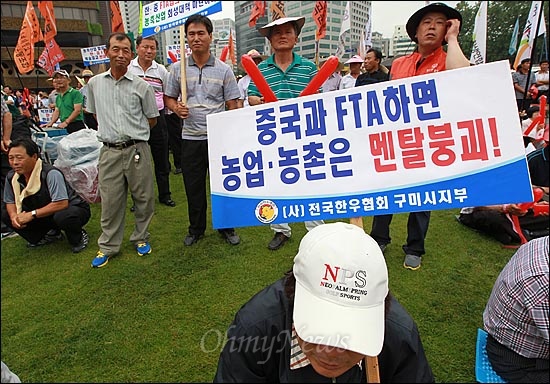  한·중 FTA 2차 협상이 시작된 3일 오후 서울광장에서 열린 한중 FTA 중단 전국 농어민 결의대회에서 참가자들이 농민들의 생존권과 국민들의 건강권을 위협하는 한중 FTA 중단을 요구하고 있다.