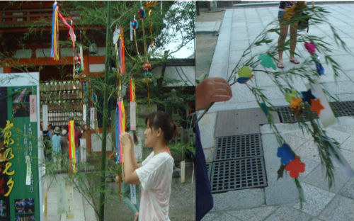 　칠석 장식인 사사가자리입니다. 대나무 가지에 성장과 입신을 기원하는 말을 종이 써서 끼워 놓습니다. 사진은 야사카진자에서 찍은 것입니다.