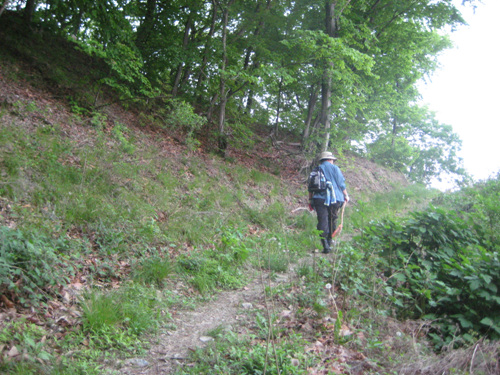 경주 연대산 가는 길 경주 연대산 가는 길