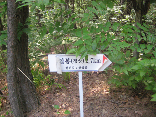 경주 숲 명상길 경주 숲 명상길