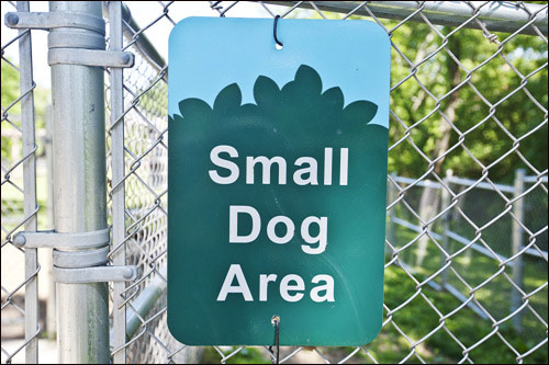 공원 안에는 큰 개와 작은개가 들어갈 수 있는 공간이 따로 분리되어 있다. 