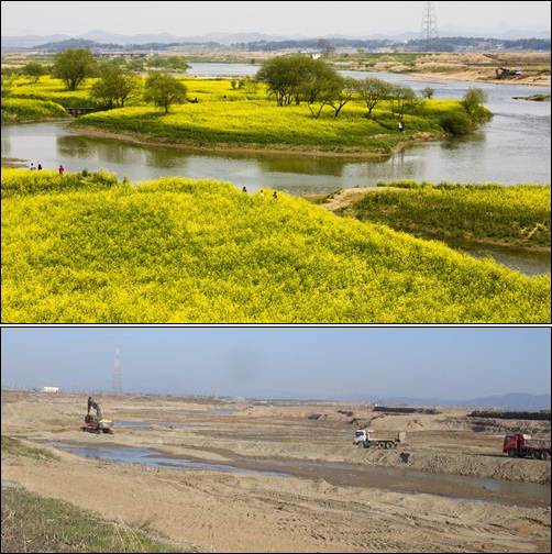 영산강의 제1 비경 동섬이 이명박 대통령의 4대강 사업 덕에 이렇게 사라졌습니다. 