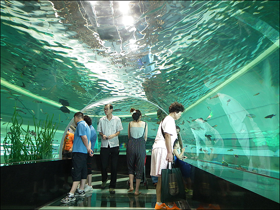 국립해양박물관의 원통형 수족관. 직경 10m, 수심 4.8m, 377톤의 바닷물로 만든 원통형 수족관에는 살아있는 연근해 상어와 가오리가 전시되어 있다. 